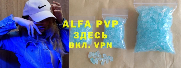 молекула духа Богданович
