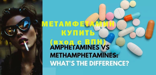 молекула духа Богданович