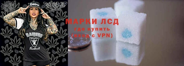 молекула духа Богданович