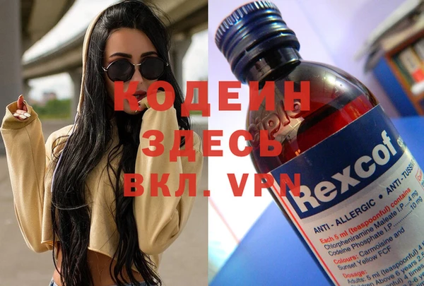 молекула духа Богданович