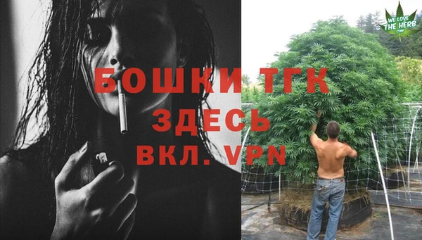 трава Богородицк