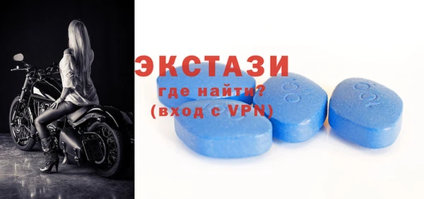 молекула духа Богданович