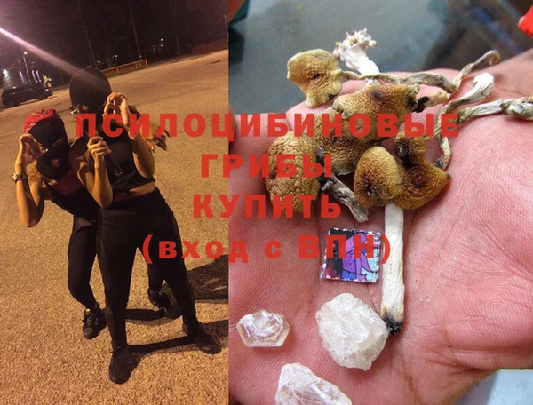 молекула духа Богданович