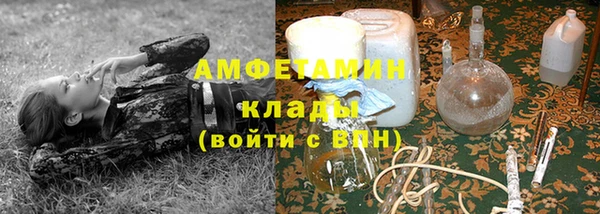 трава Богородицк