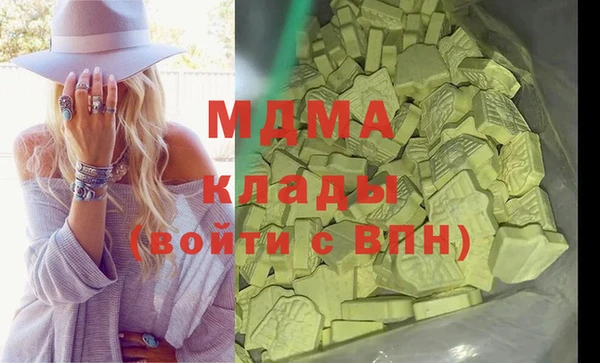 молекула духа Богданович