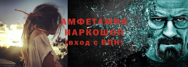 молекула духа Богданович