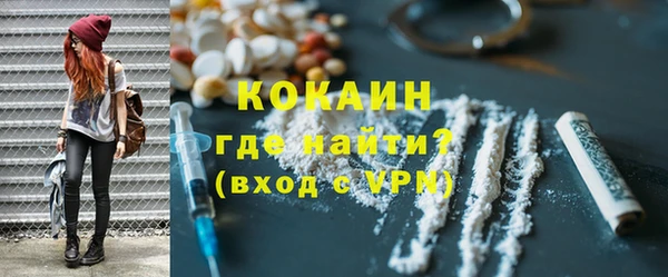 молекула духа Богданович