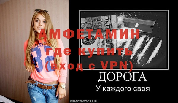 молекула духа Богданович