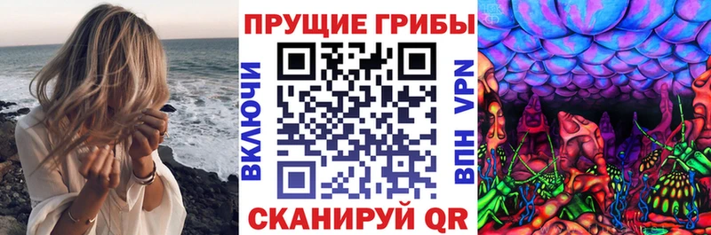 Псилоцибиновые грибы MAGIC MUSHROOMS  Шатура 